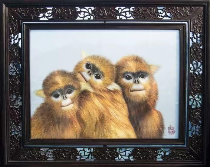黔金丝猴.jpg